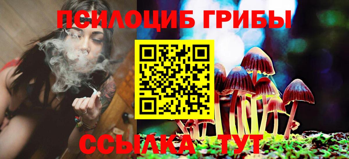 Пугачёв  Галлюциногенные грибы ЛСД  Вход с VPN  Псилоцибиновые грибы MAGIC MUSHROOMS 